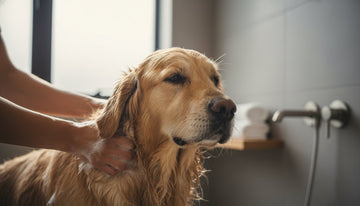 Peace of Mind Pet Grooming Products: A Guide to Safety and Purity