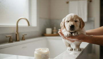Baby Shampoo vs Puppy Shampoo: Is Human Grade Safe for Your Pup?