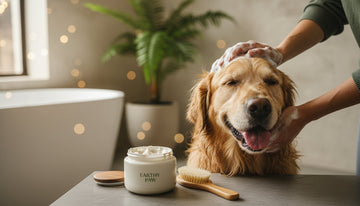 The Ultimate Eco-Friendly Dog Grooming Routine for a Sustainable Home