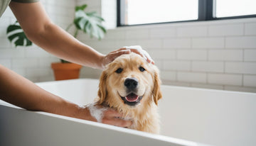 The New Owner's Guide to Puppy Friendly Shampoo