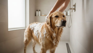 Natural Flea and Tick Shampoo for Dogs: The Complete Guide to Gentle Pest Protection