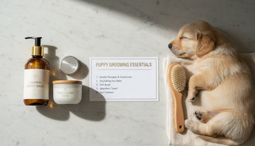 Puppy Grooming Supplies Checklist: Everything You Need for a Happy Pup in 2026