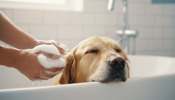 What Does pH Balanced Mean for Dog Shampoo? A Science-Backed Guide