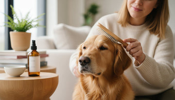 Natural Dog Detangling Spray: The Science of a Tangle-Free Coat in 2026