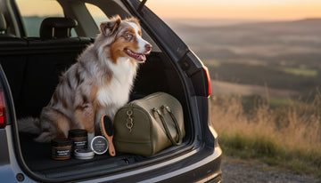 Dog Grooming Travel Essentials: A Guide to Stress-Free Adventures