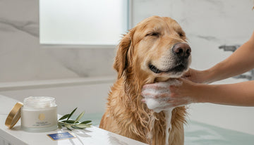 The Best Earthbath Dog Shampoo Alternative: Why Cosmetic-Grade Ingredients Matter