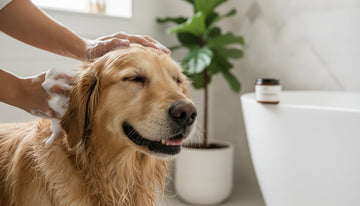 Vegan Dog Shampoo: A Guide to Ethical and Botanical Grooming in 2026