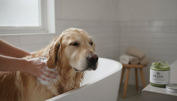 Vegan Dog Shampoo: A Guide to Ethical and Botanical Grooming in 2026