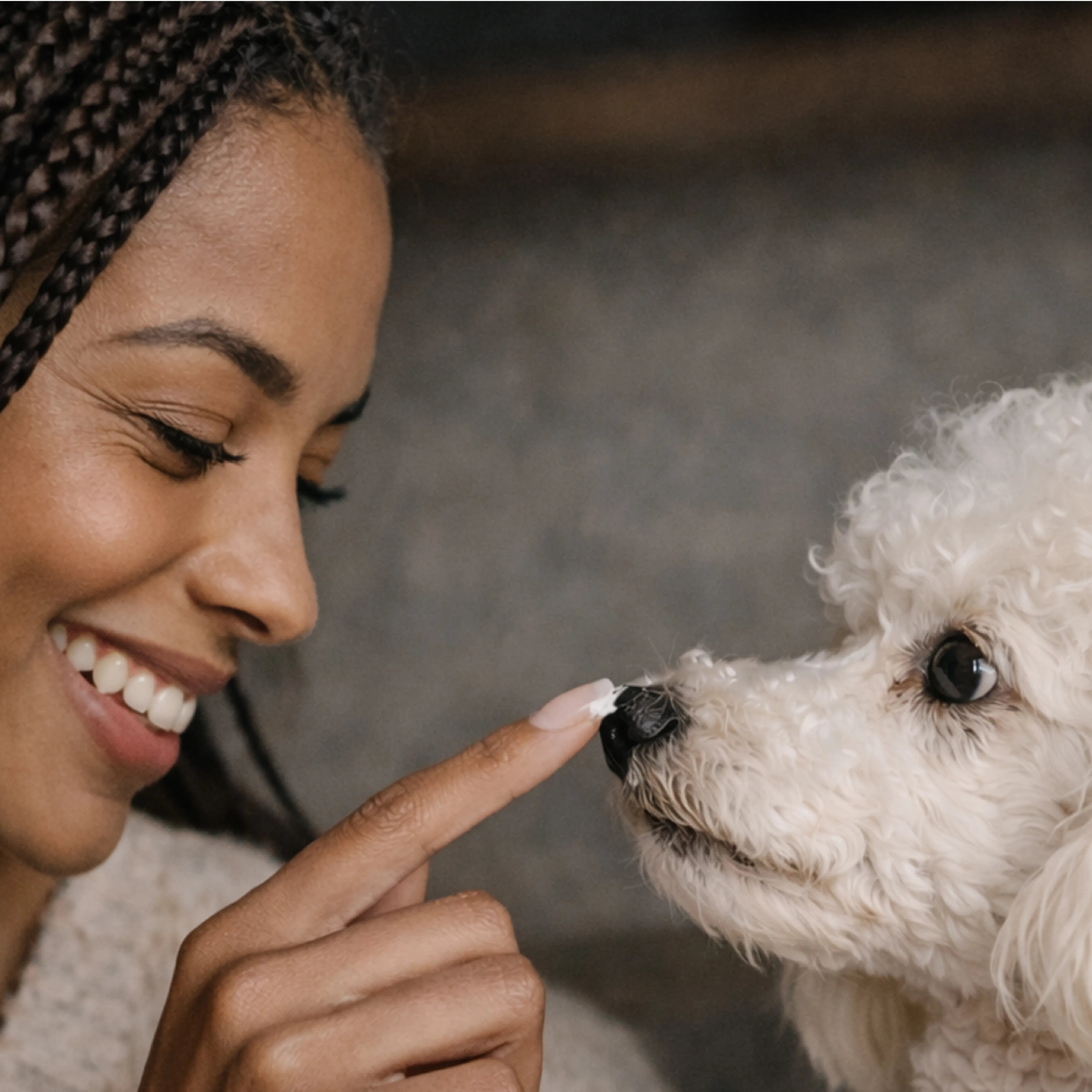 Gentle Sensitive Pup Bundle