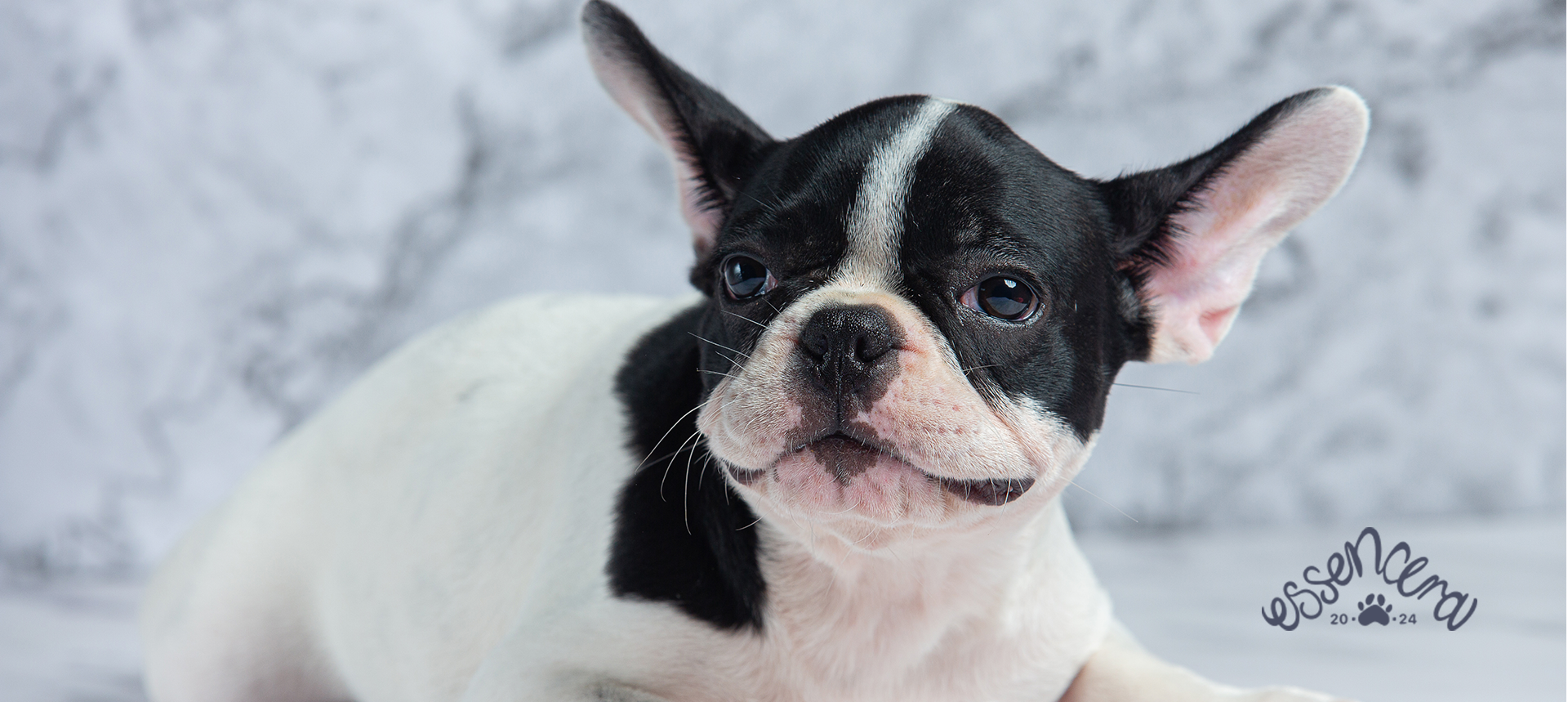 slider image slider_item_Pxa3hg