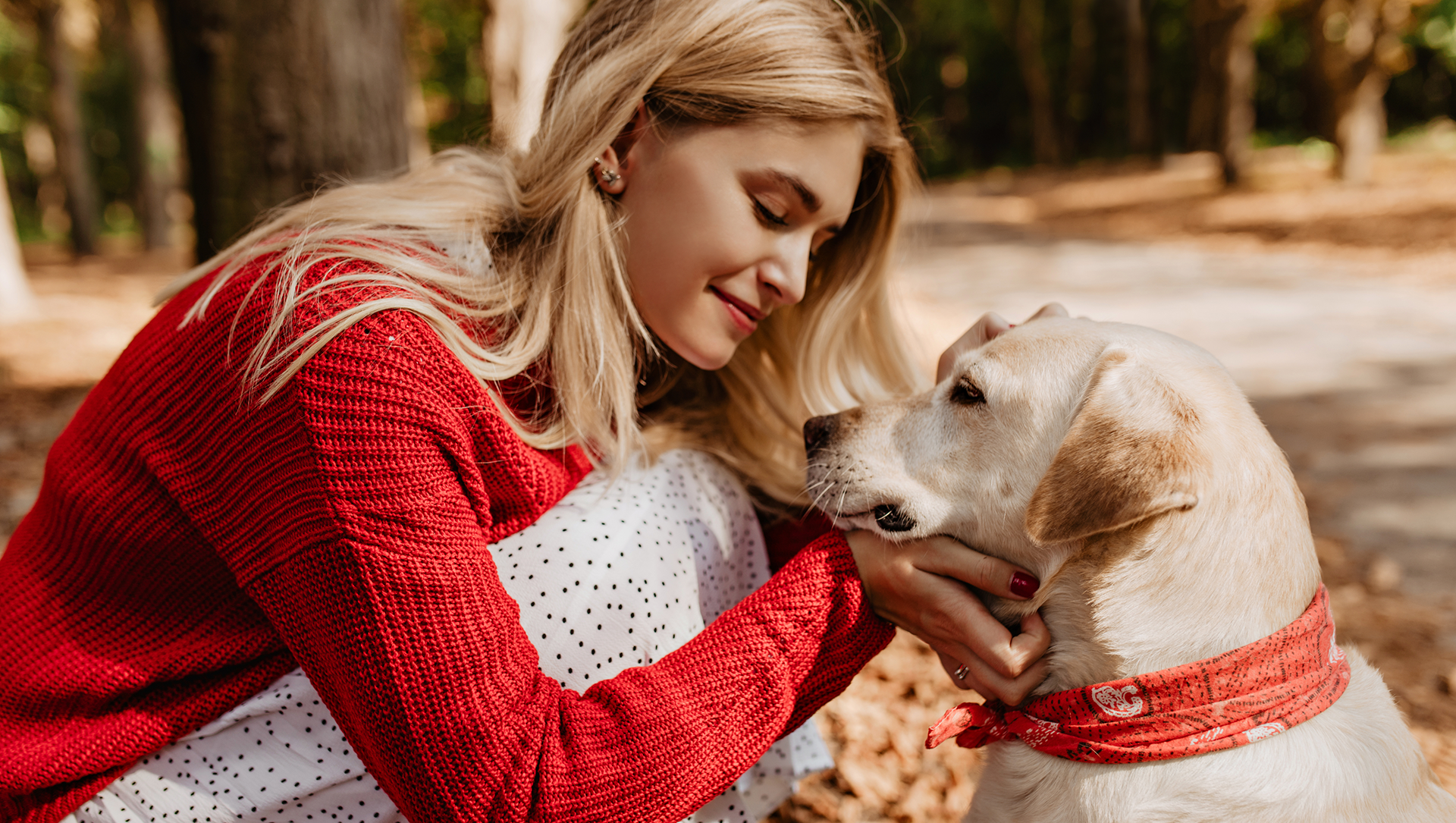 slider image slider_item_BxxtkV